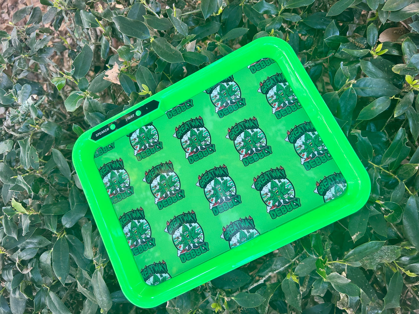 Green LED Lighting & Speaker Tray
